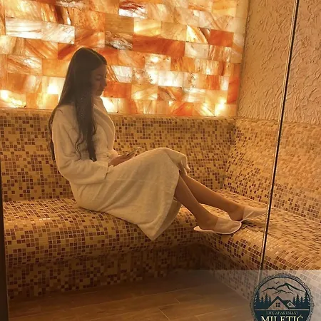 Apartament Lux Andjela *